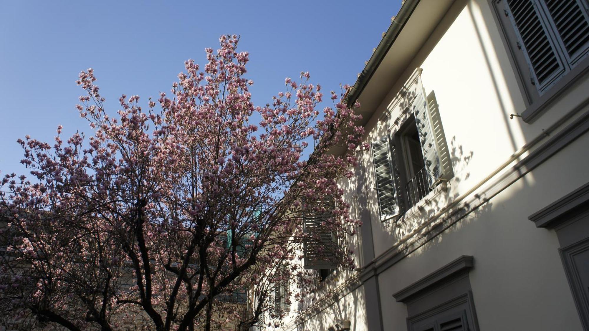 Otello Suite - Brand New Flat Santa Maria Novella Florenz Exterior foto